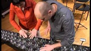 glass harp musicians in Klaipeda Lithuania [upl. by Lengel]