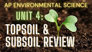 What Is Topsoil amp Subsoil [upl. by Morganstein]