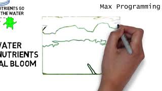 Science  What is Eutrophication explanation [upl. by Eceinahs]