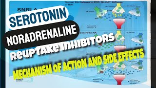 Serotonin Noradrenaline Reuptake Inhibitors  SNRIs  Mechanism of Action and Side effects [upl. by Vinn]