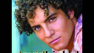 David Bisbal  Como seráwmv [upl. by Ingamar]