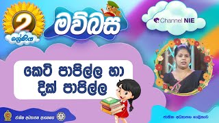 කෙටි පාපිල්ල හා දික් පාපිල්ල  පුනරීක්ෂණ  Grade 02  Sinhala සිංහල  02 ශ්‍රේණිය  P 43 [upl. by Fulton]