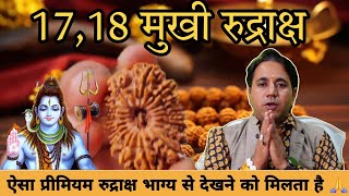 17 Face to 18 Face Premium Rudraksha🚩World Best Rudraksha Beeds  Orignal Rudraksha Store Ahmedabad [upl. by Hsihsa706]