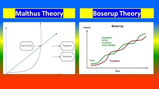 Malthus Theory and Boserup Theory [upl. by Reena319]