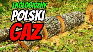 Kogeneracja z gazu drzewnego Tani sposób na czystą i ekologiczną energię [upl. by Lenee]