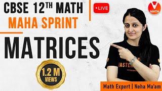 Complete Matrices in 1 Shot with Problems  Matrices Class 12  CBSENcert Maths  CBSE Exam 2022 [upl. by Brena194]