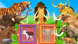 10 Mammoth Elephant Cow vs 10 Giant Tiger Wolf vs Dinosaur Fight Tiger Cub Saved by Woolly Mammoth [upl. by Inek]