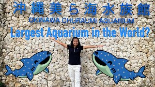 OKINAWA CHURAUMI AQUARIUM [upl. by Nnylrahc903]