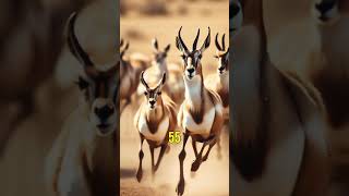 Natures Speedsters Fastest Animals on Earth and Beyond [upl. by Htiek]