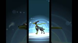 Evolving Zygarde in Pokémon Go  pokemongo  shorts [upl. by Aicinet]