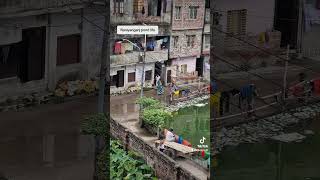 Pond life in Narayanganj [upl. by Lledroc]