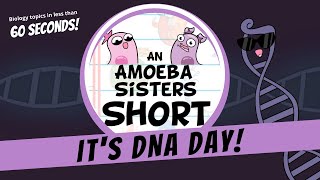 DNA Day 🧬  Amoeba Sisters Shorts DNADay [upl. by Ladnyc610]