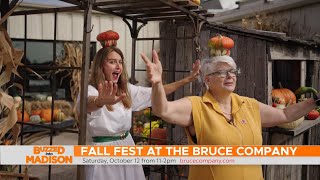 Buzzed into Fall Fest at the Bruce Company [upl. by Liamaj]