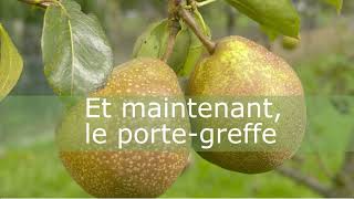 Comment greffer un arbre fruitier [upl. by Weinshienk]