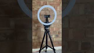 Honest Review Sensyne 10quot Ring Light [upl. by Annocahs]