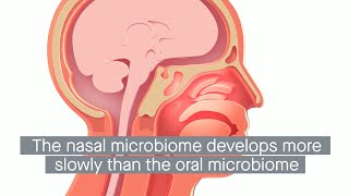 Composition and function of the oral and nasal microbiomes at different ages [upl. by The]