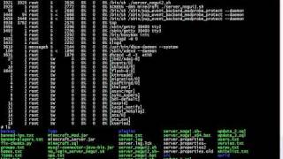 Easy Minecraft Server Management In Linux [upl. by Atnauq167]