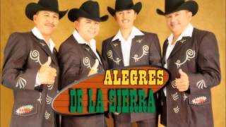 Los Alegres de la Sierra  Una Palomita [upl. by Rebhun]