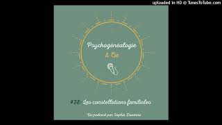 Les constellations familiales [upl. by Anatnas12]