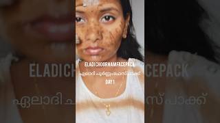 💯 ഏലാദി ചൂർണ്ണംഫേസ്പാക്ക് Day 1facepackforteenagers facepackforoilyskin facepackforacne facepack [upl. by Cleodel863]