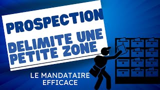 Savoir Choisir sa Zone de Prospection  Les Clés pour Réussir en tant que Conseiller Immobilier [upl. by Tat]