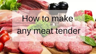 How To Tenderize ANY Meat [upl. by Eibob]