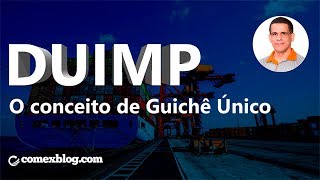 DUIMP O Conceito de GuichÃª Ãšnico  comexblogcom [upl. by Effie]