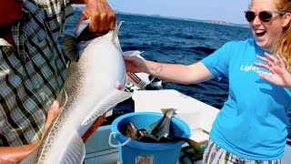 Cod jigging in Twillingate with Captain Dave Boyd  SplitTheRock [upl. by Nadiya]