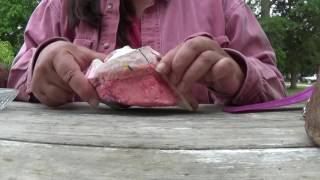 How you are trimming the hoof capsule OFF your Horses Foot [upl. by Trilbie]