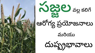 సజ్జల గురించి మీకు తెలియని నిజాలు l Pearl Millet sideeffectsofpearlmillet sajjalu gantlu bajra [upl. by Davey]