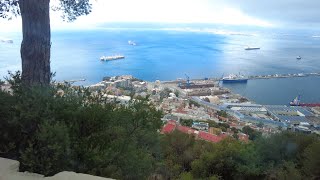 Gibraltar  Rock Monkeys Airstrip [upl. by Llehctim]