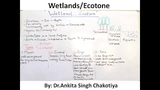 Wetlands types and their characteristics [upl. by Tena]