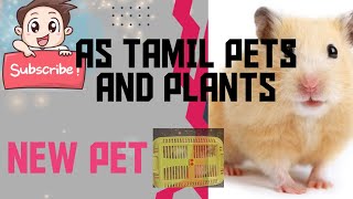 New hamster vangitom  AS Tamil Pets and Plants Tamil 8300182436 [upl. by Iharas]