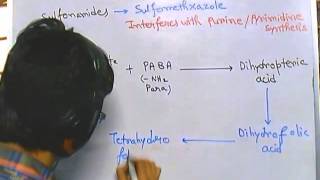 Sulfonamides mode of action [upl. by Uis]