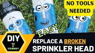 Fast and Easy Way to Replace Sprinkler Head [upl. by Velleman53]