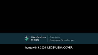 Honza Cibrik 2024 Ledevlesa Cover [upl. by Eluk]