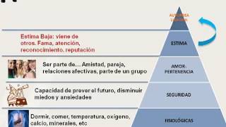 Satisfacción laboral y motivación [upl. by Engelbert549]