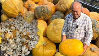 Dnevno izvadim 20 kilograma sjemenki a godišnje prodam preko 300 kg to mi je penzija i moj biznis [upl. by Gottfried]