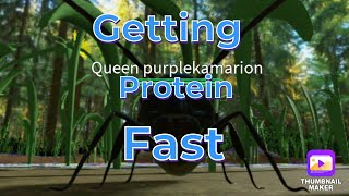 Ant life RobloxHow to get protein fast [upl. by Dorise728]