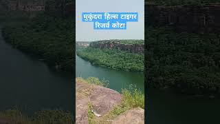 MukundraHillsTigerReserveKota  🐯मुकुंदराहिल्सटाइगररिजर्वकोटा मुकुंदरा mukundra kota [upl. by Faro108]