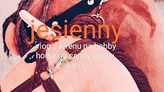 jesienny vlog z terenu na hobby horse na candy nowy koń [upl. by Lodovico942]