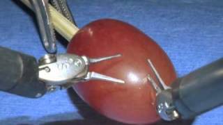 da Vinci Surgical System Surgery on a grape [upl. by Senecal158]