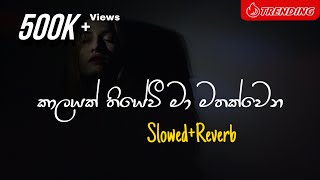 Kalayak Thiyewi  කාලයක් තියේවී මා මතක්වෙන SlowedReverb [upl. by Nikolia403]