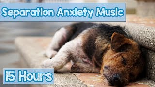 15 HOURS of Deep Separation Anxiety Music for Dog Relaxation Helped 4 Million Dogs Worldwide NEW [upl. by Surad]