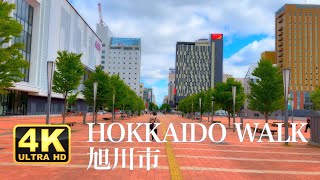 Hokkaido Walking Asahikawa（旭川）【4K HDR】 [upl. by Seuqramed]