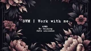 SWM  Work with me amp my cats session 28  Work from home  ASMR  No talking  Pomodoro 4 x 5010 [upl. by Concha]