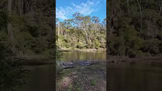 Warrandyte State Park  VIC Australia park lake river camping hike asmr relax outback [upl. by Enitsirhk]