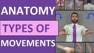 Body Movement Terms Anatomy  Body Planes of Motion  Synovial Joint Movement Terminology [upl. by Cleopatra]