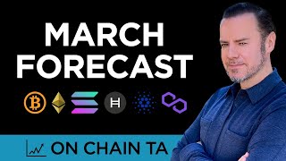 OCTA Bitcoin March Forecast [upl. by Morentz]