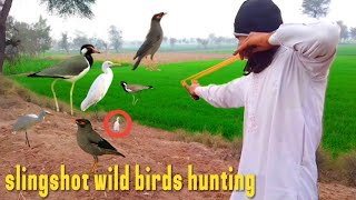 slingshot wild birds hunting [upl. by Galatea]